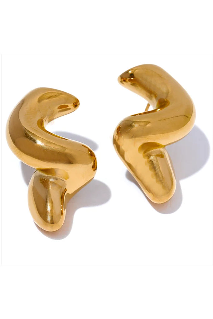 Swirly Earrings with a Special Shape